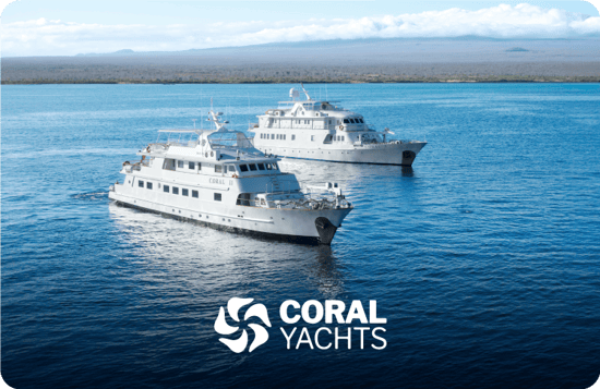 Coral Yachts from GO Galapagos