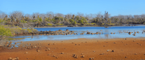 a Island- Galapagos IslandDarwin bay-