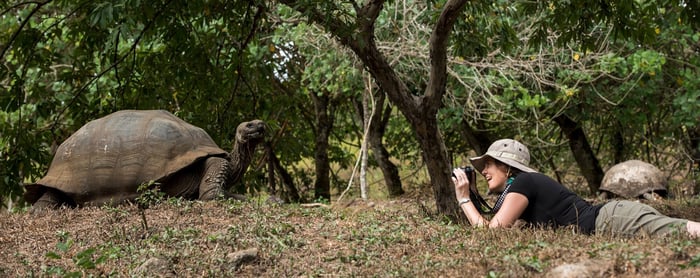 20160613_Model_with_Galapagos_Giant_Tortoise_386