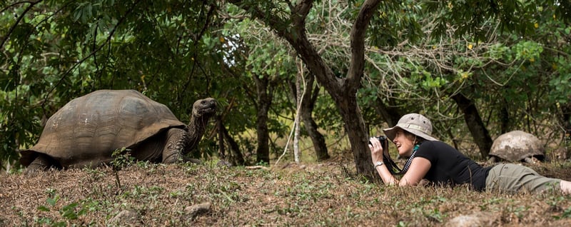 20160613_Model_with_Galapagos_Giant_Tortoise_386