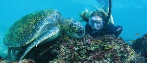 NewWeb-HB-CL-snorkeling-gallery
