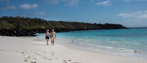 Gardner Bay - Española in the Galapagos view of the white sand beach with tourists living experience