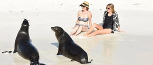 Gardner Bay - Española in the Galapagos view of the white sand beach with tourist girl living experience