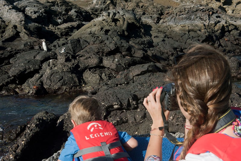 20160614_Models_Viewing_Galapagos_Penguins_685