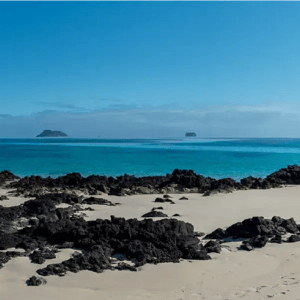 North Expedition (A) Galapagos Legend: Bachas Beach