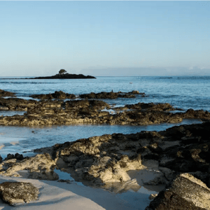North Expeditions (A) Galapagos Legend: Bachas beach