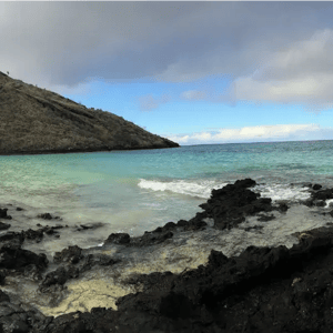 South Expedition (D) Coral Yachts: Punta Cormorant