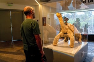 Lonesome George - Charles Darwin Research Station