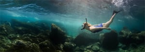 Woman snorkeling underwater in the Galapagos Islands, exploring crystal-clear ocean water with tropical fish, volcanic rocks, and sunlight. 