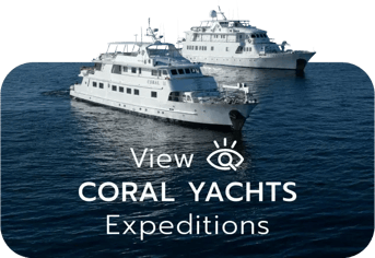 Coral Yachts Expeditions Button
