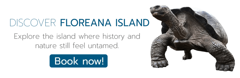 CTA - Discover Floreana Island
