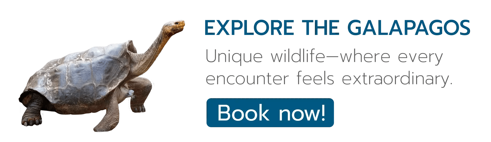 CTA - Explore the unique wildlife in Galapagos.