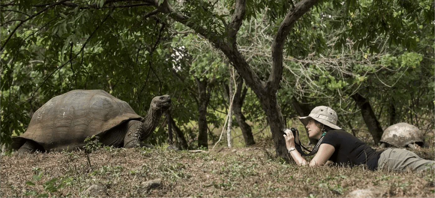 A Galápagos tortoise in its natural environment, with a traveler taking a photo of it.