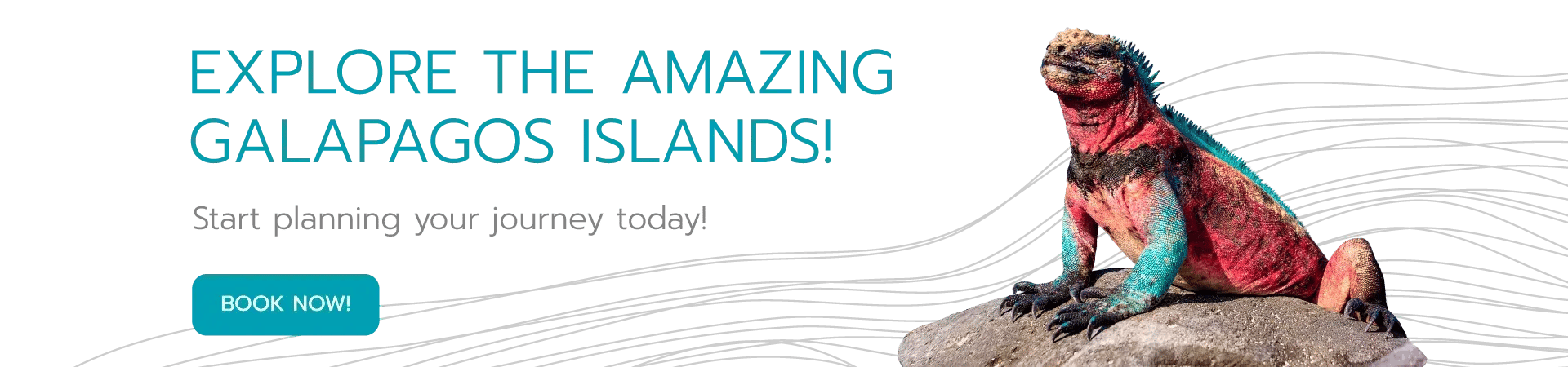 Explore the Amazing Galapagos Islands