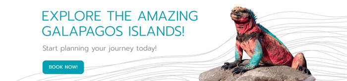 Explore the Amazing Galapagos Islands