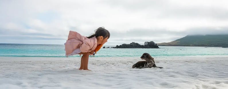 Blog--Sea-Lions-relaxation-banner