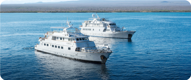 imagen-go-corales-1-1