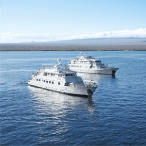 Coral Yachts I & II Activities