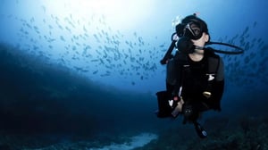 Onboard Activities: Diving-galapagos-legend
