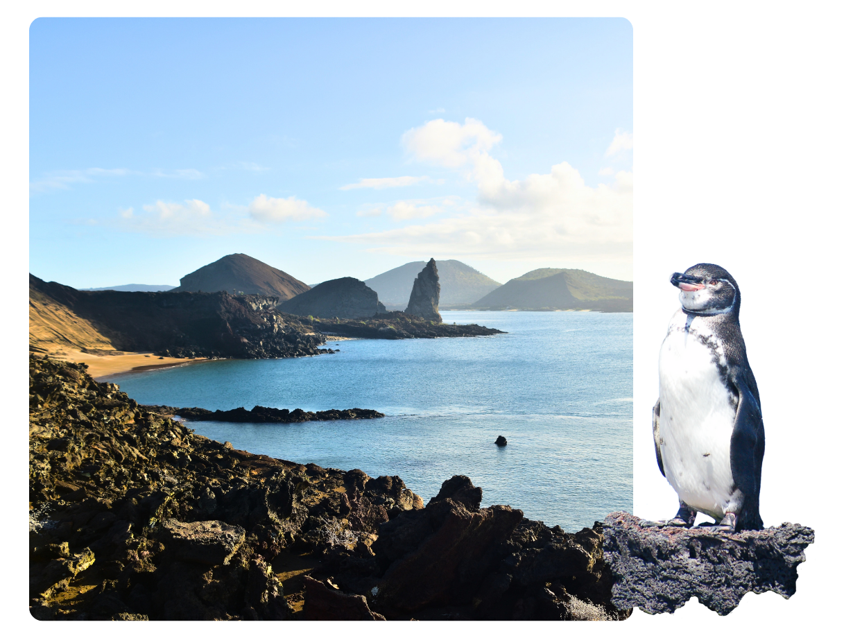 Bartolome Island, Galapagos Island: A beautiful view and a Galapagos Penguin