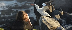 Suarez Point - Española in Galapagos Island tourist taking pictures of a masked boobies