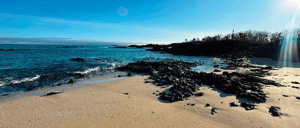 Cormorant point`s beach