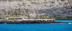 Cormorant Point´s landscape