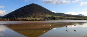 Cormorant Point - Floreana in the Galapagos, view of the volcano and flamingos in the lagoon