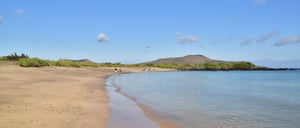 Post Office - Floreana Island in the Galapagos, view of a beach with tourists