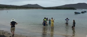 Post Office - Floreana Island in the Galapagos, view of a beach with tourist