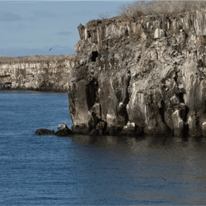 North Expedition (A) Coral Yachts: Punta Pitt