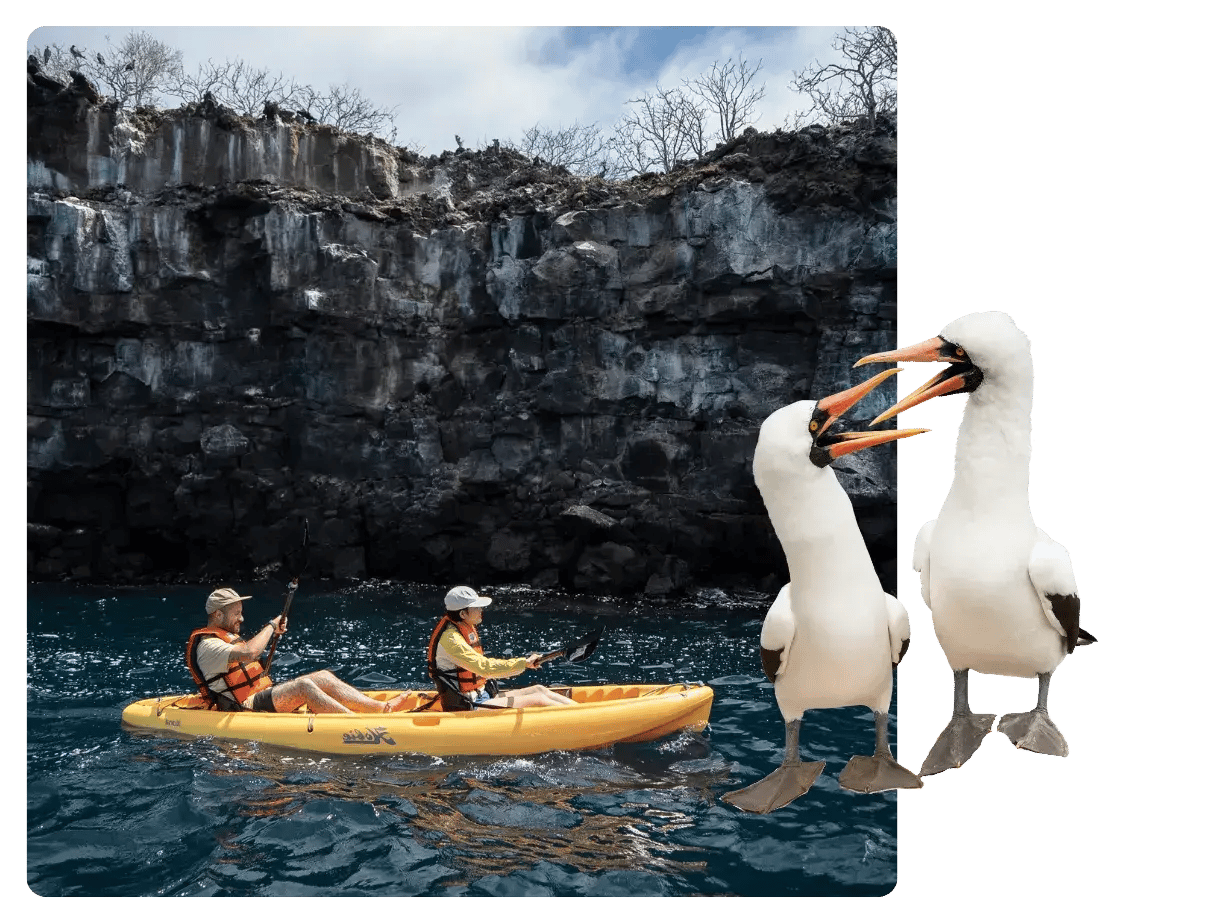 Two tourist doing kayaking in El Barranco, and two nazca booobies at the picture