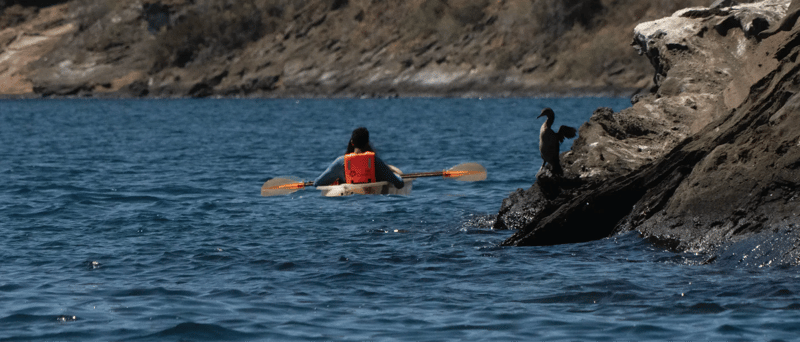 NewWeb-HB-islas-Isabela-Punta-vicente-Roca-Kayaking-gallery