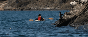Visitor Sites: Vicente Roca Point- Isabela Island and a traveler doing kayaking