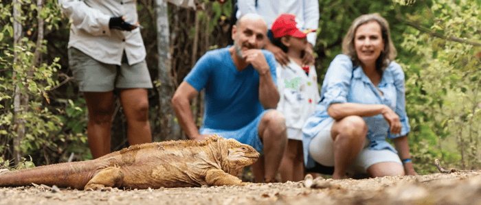 NewWeb-HB-islas-Isabela-urbina-Bay-Land-iguana-gallery