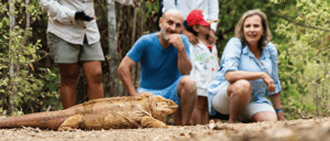 Urbina Bay - Isabela in the Galapagos with tourist taking pictures to Land Iguana