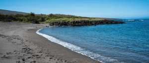Visitor Sites: Beach at Urbina Bay - Isabela Island