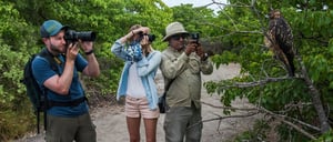 Urbina Bay - Isabela in the Galapagos with tourist taking pictures to Galapagos falcon