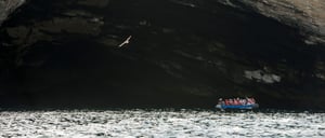 Vicente Roca Point in Isabella Island, tourist on panga ride