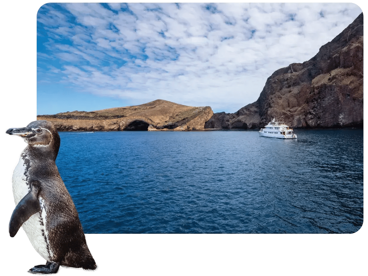 Punta carrion Galapagos Island: Coral Yacht in Punta Vicente Rock and a Galapagos penguin