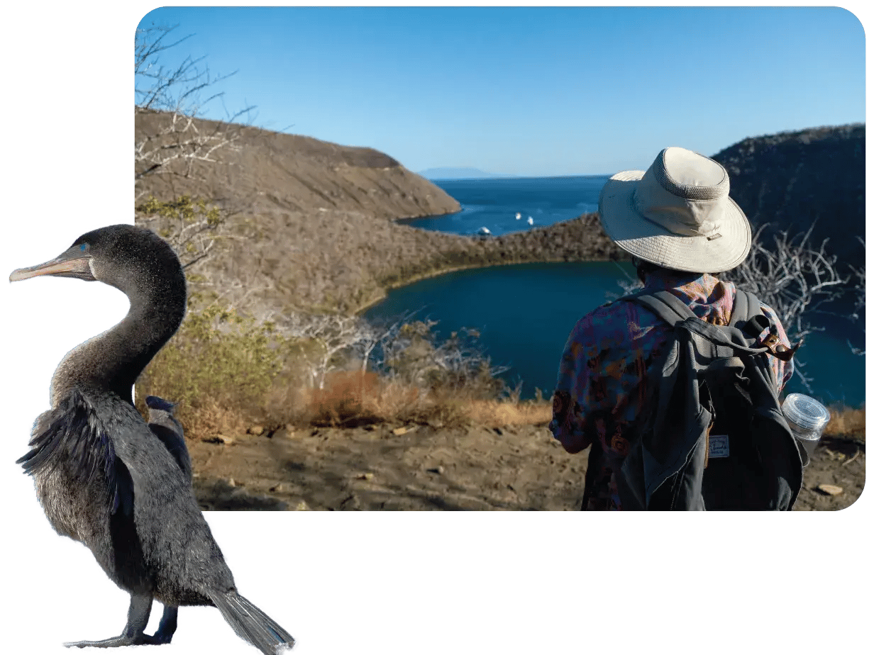 Tagus Cave and a Flightless Cormorant