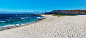 Mosquera islet`s beach landscape