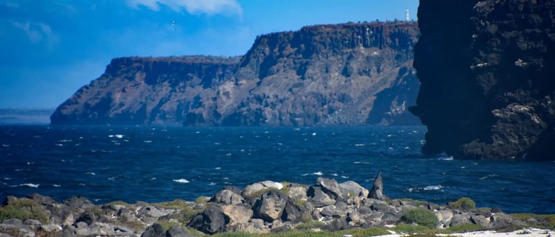 NewWeb-HB-islas-mosquera-landscape