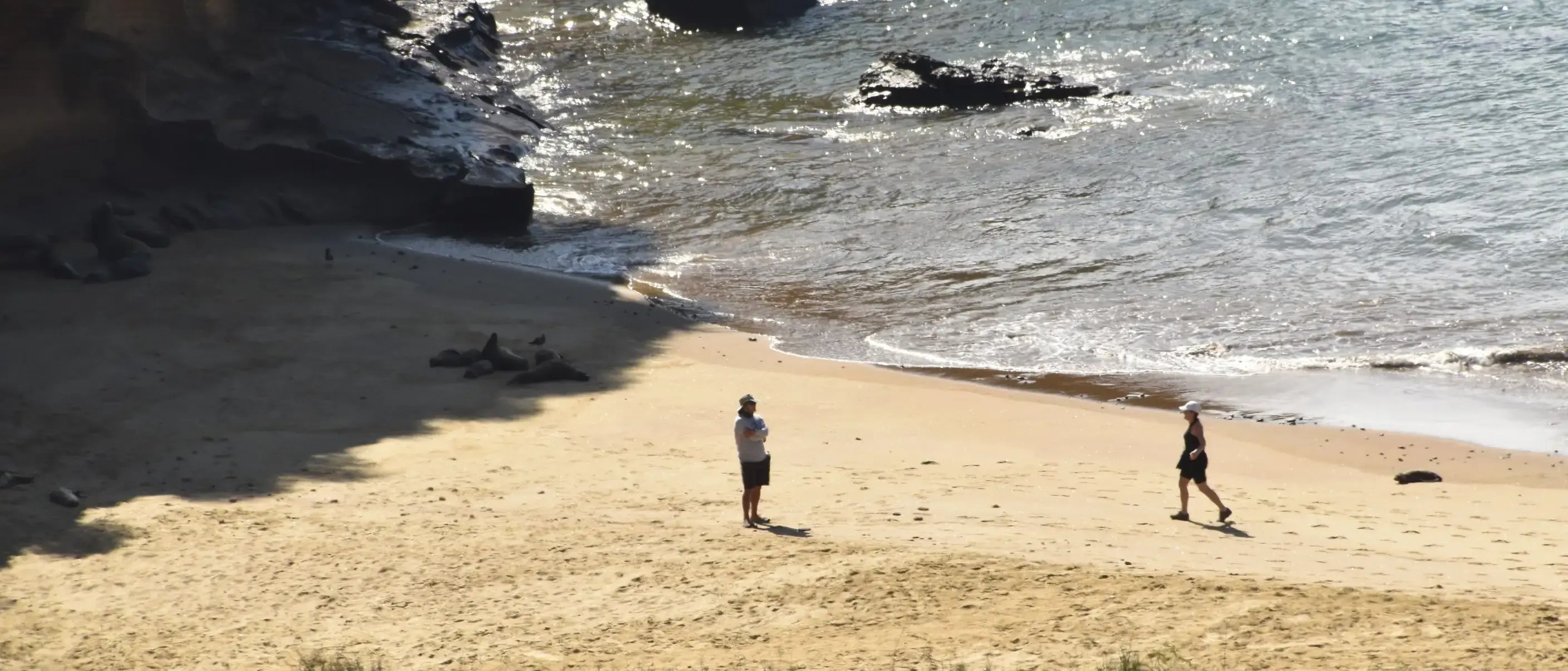 NewWeb-HB-islas-san-cristobal-punta-pitt-beach