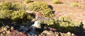 Pitt Point - San Cristobal in Galapagos Islands, view of a landscape with the sea, earth and sky with red footed boobie