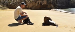 Pitt Point - San Cristobal in Galapagos Islands, tourist interacting with a sea lion in golden sand beach