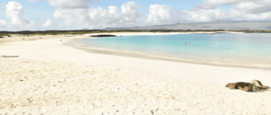 Cerro Brujo - San Cristobal in Galapagos Islands: San Cristobal´s Beach