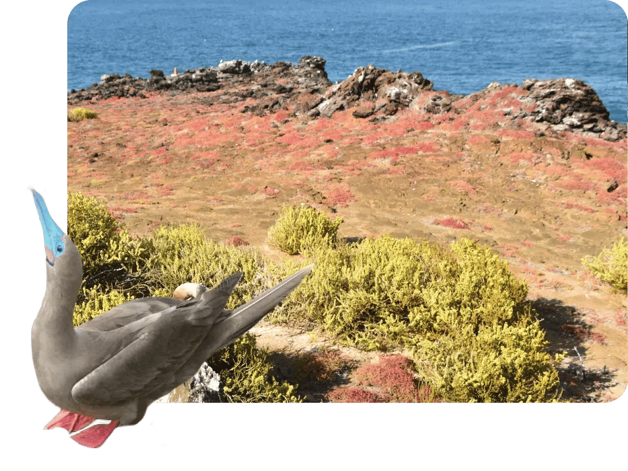Pitt Point - San Cristobal in Galapagos Islands, view of a landscape with the sea, earth and sky