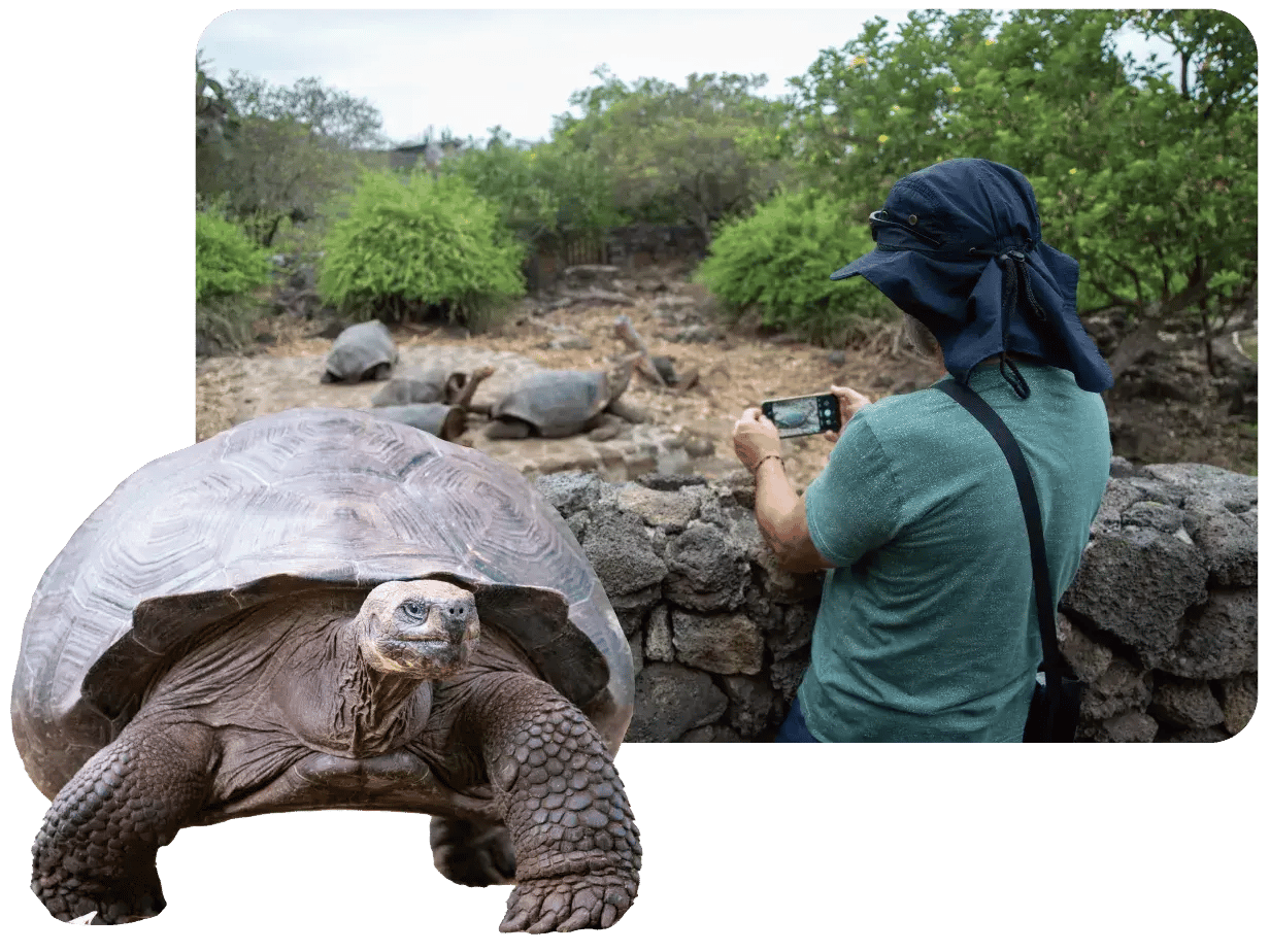 Highlands - Santa Cruz in Galapagos with lying tourist taking a picture of a giant tortoise