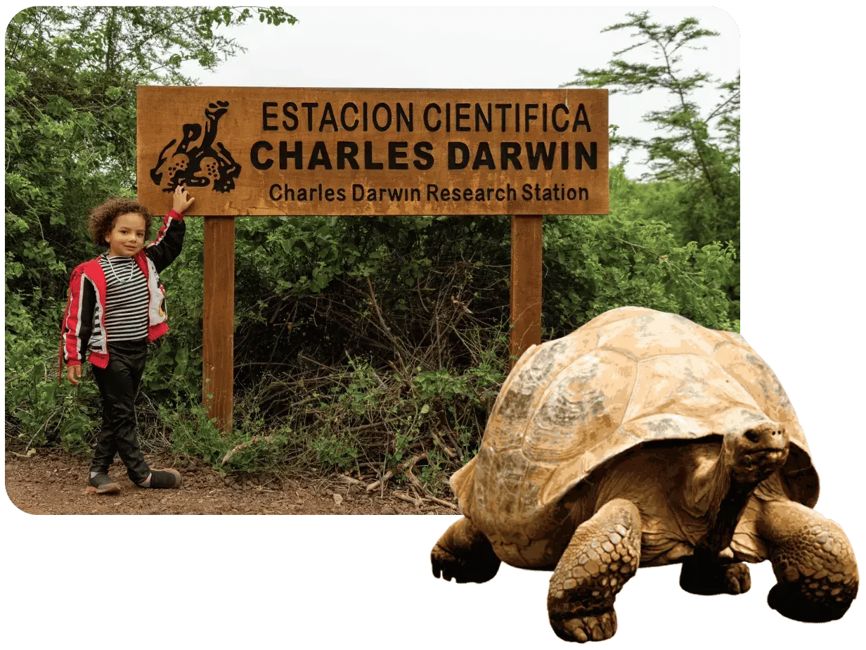 Giant tortoise charles darwin station research galapagos